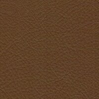Pisa 2316 - milchkaffee