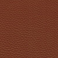Pisa 2584 - inca