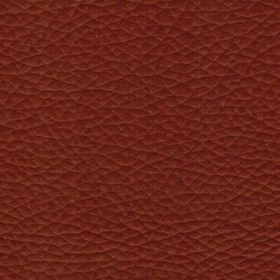 Pisa 2600 - cognac