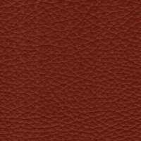 Pisa 2600 - cognac