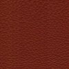 Pisa 2600 - cognac