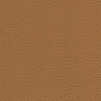 Roma 8424 - mango