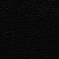 Ecopell Nappa Bioleder 100 - schwarz