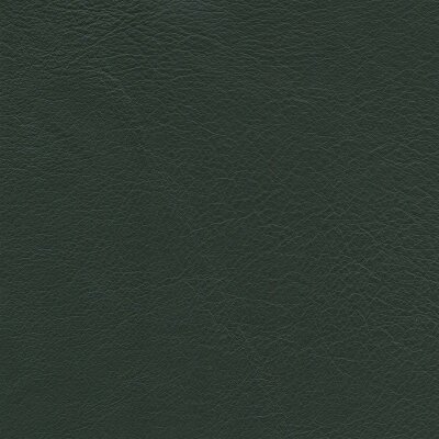 Siena 7298 - farn