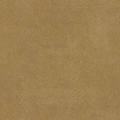 Evita - High Performance Polsterstoff 124