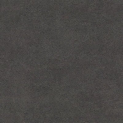 Evita - High Performance Polsterstoff 116