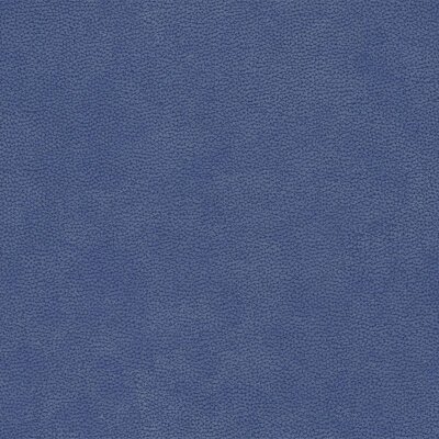 Evita - High Performance Polsterstoff 121