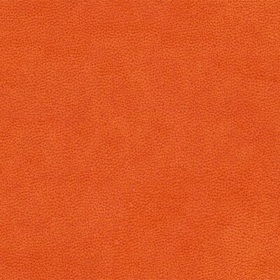 Evita - High Performance Polsterstoff 119