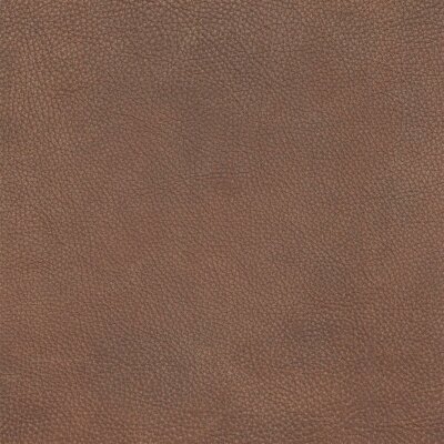 Utah - Büffelleder 2538 - terra
