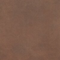 Utah - Büffelleder 2538 - terra