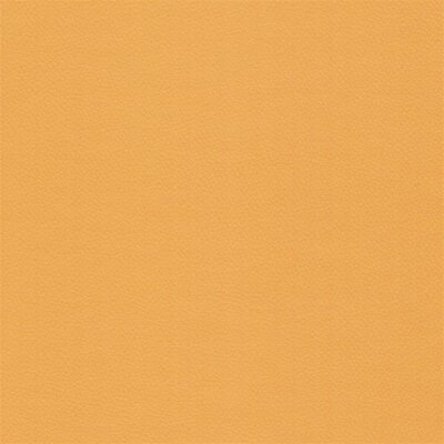 Miami Plus 97060 amber