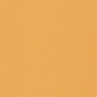 Miami Plus 97060 amber