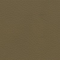 Autoleder Mercedes Lugano 3412 - kaschmirbeige / bucksin