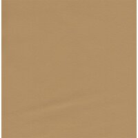 Autoleder Bentley Nappa 3643 - saffron