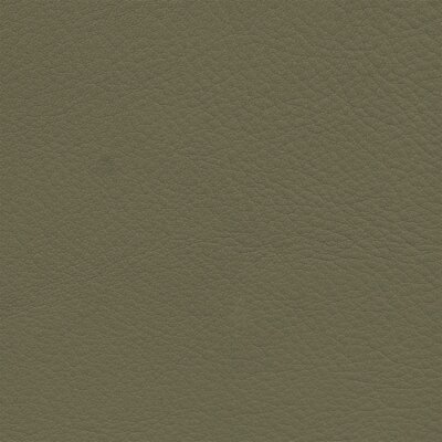 OLeaf Tan Gaucho 1377 - schlammgrau