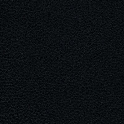 Bullenleder Mammut ocean