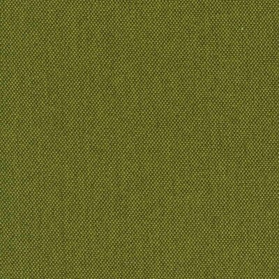 Sabine - hochbelastbares Strukturgewebe 48 - kiwi