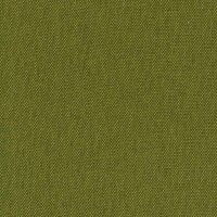 Sabine - hochbelastbares Strukturgewebe 48 - kiwi
