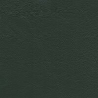 Bonbonfarben Premium Z75 7298 - farn