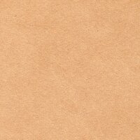 Alcantara&reg; Avant 1108 Sand Rose