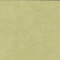 Alcantara® Avant 2106 Edelweiss