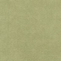 Alcantara® Avant 2161 Almond Green