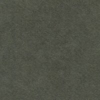 Alcantara® Avant 5810 Stone Grey