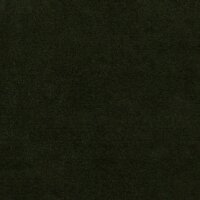 Alcantara® Avant 6407 Kiwi