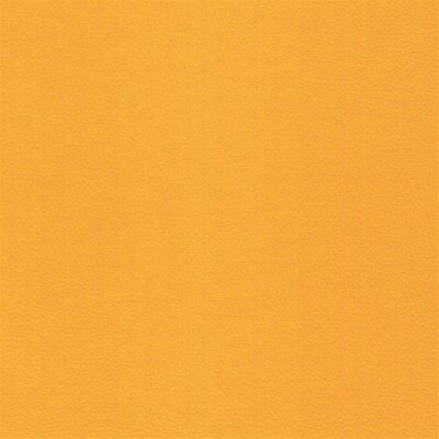 Kids - Kunstleder phthalatfrei 9835 papaya