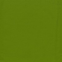 Klassikfarben Serie Z59 2170 - apfel