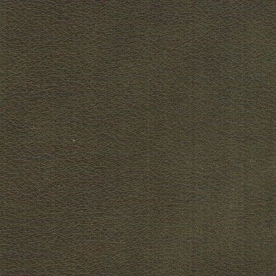 Wildlife echtes Büffelleder mud 1398