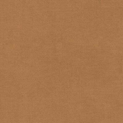 73 - camel