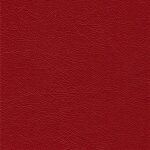 1079 - rot