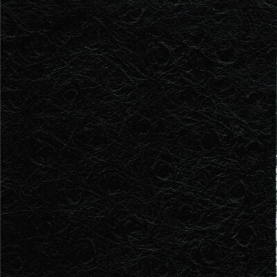 0500 - schwarz