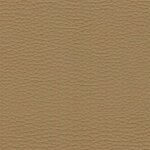 K1725 beige 3
