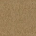 K1725 beige 3