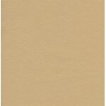3966 - Ivory
