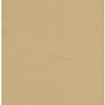 3966 - Ivory