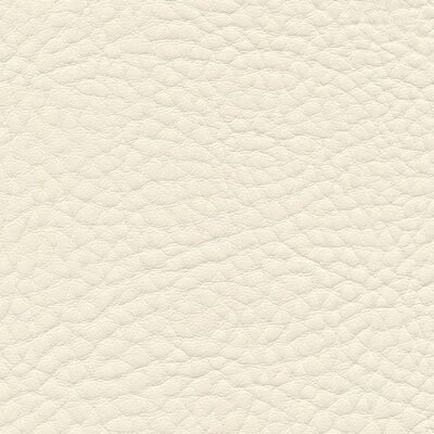4041 - ivory