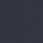 1155 - blau