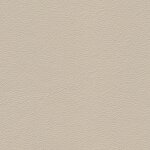 1180 - kiesel