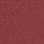1181 - berryrot