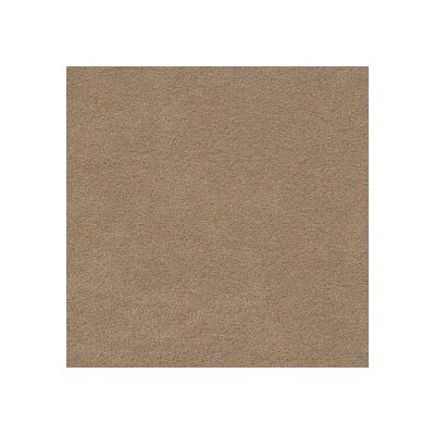 3051 Camel