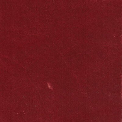 4260 - latico