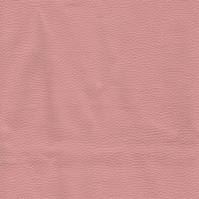 4400 - rosa 2009