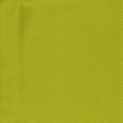 2100 - citrus