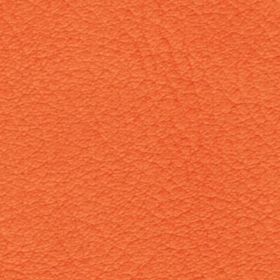 225 - mango tango