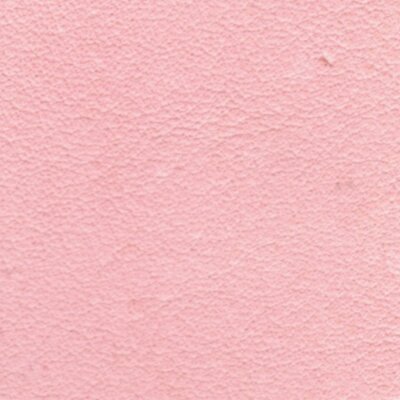 323 - baby rosa