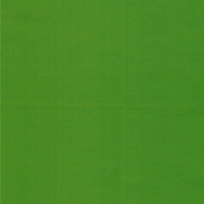 9828 apple