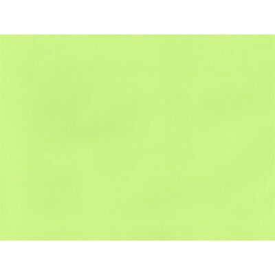 kiwi 18
